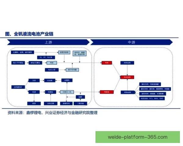 伟德登录入口全面解析：探索全球领先平台的优势与创新服务